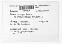 Diaporthe eres image